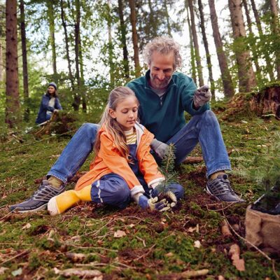 720x720_Vater_Kind_Baum_Wald_RGB Genossenschaftliche Werte in der VR Bank Dreieich-Offenbach eG umgesetzt