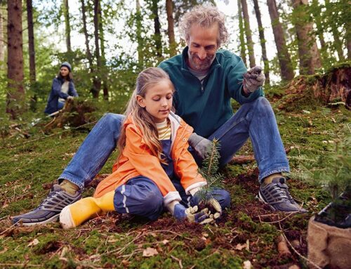 „Wir und der Wald“ – Wie Grundschulkinder zu Klimaschützern werden 